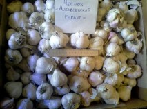 Алексеевский гигант